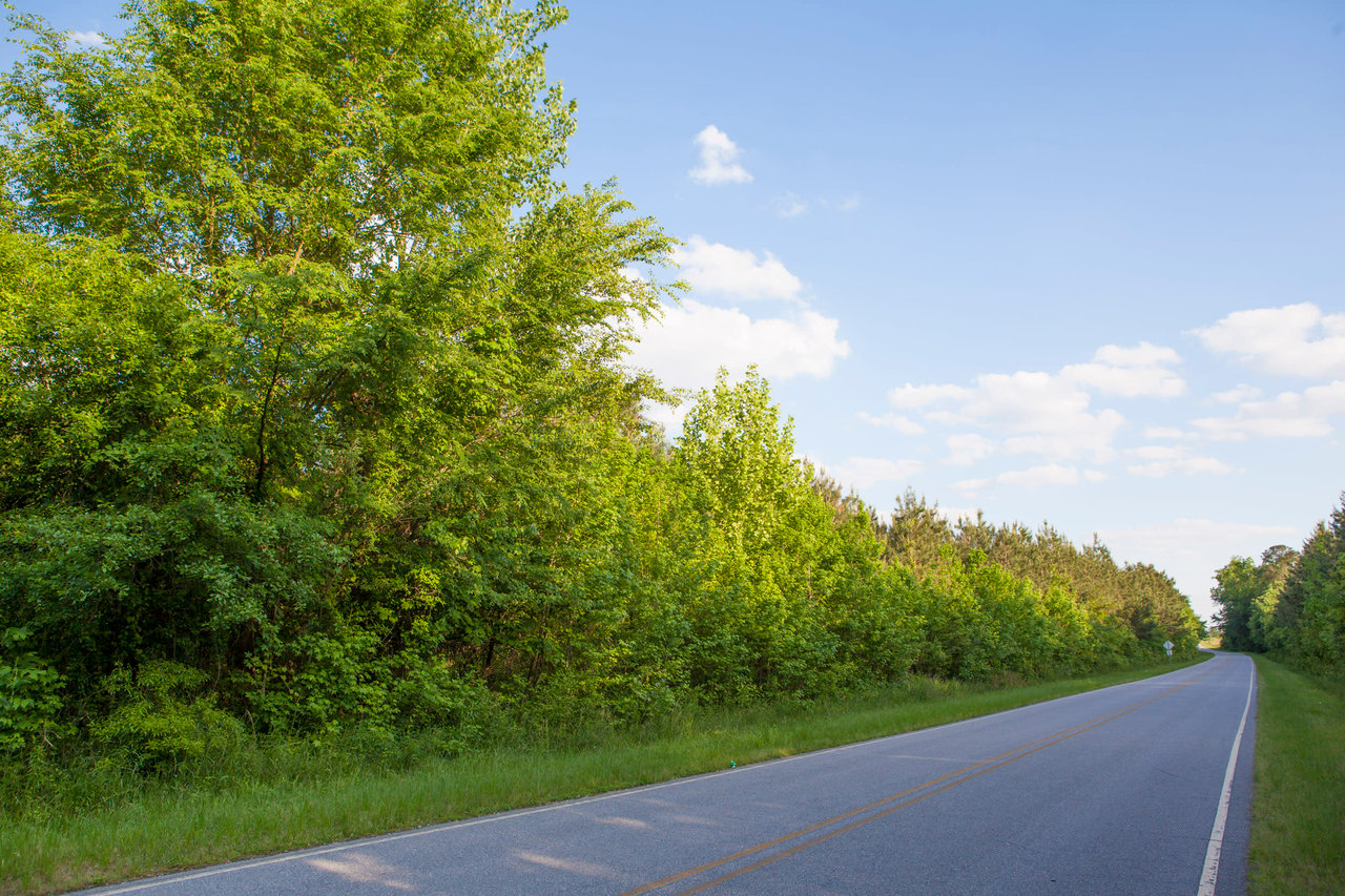 Edgecombe County, NC Land For Sale - 354 Acres