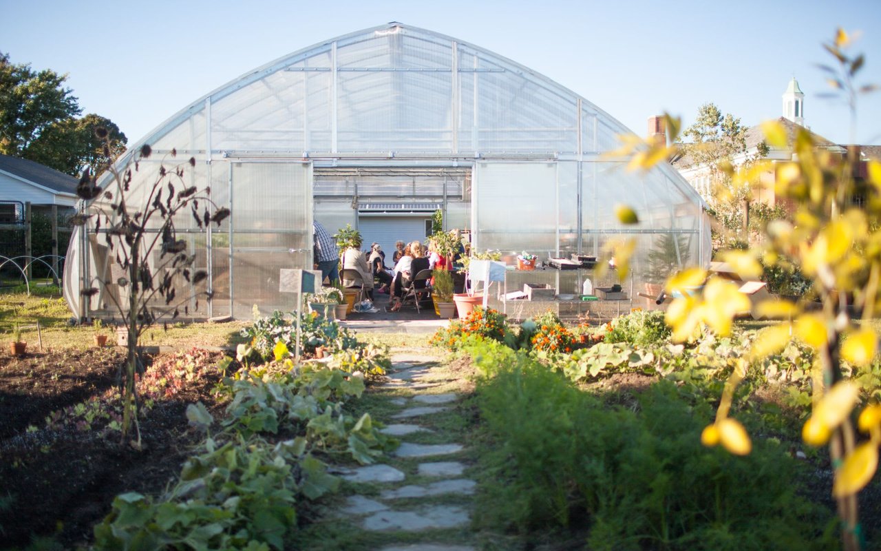 A group of people sitting at a table in a greenhouse