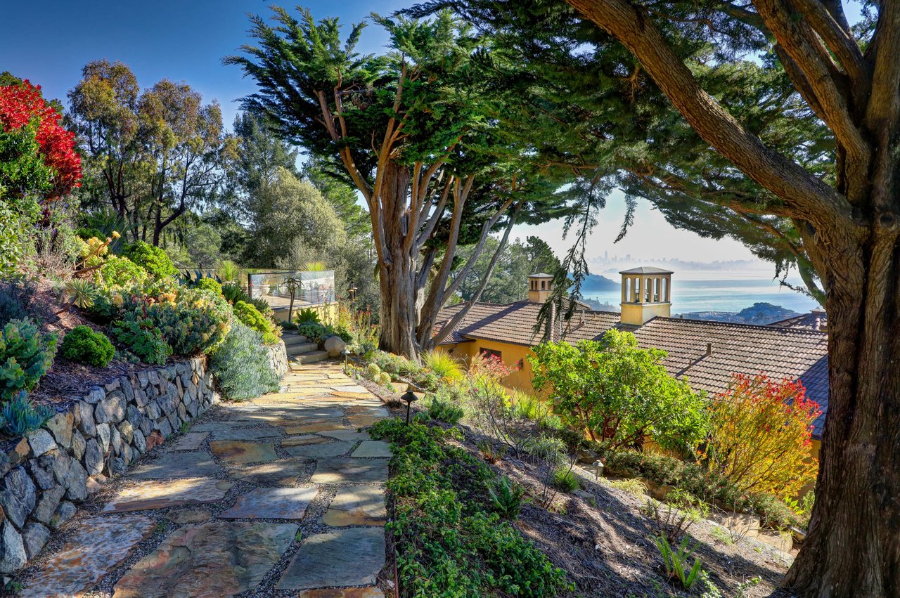 Extraordinary Tiburon Sanctuary