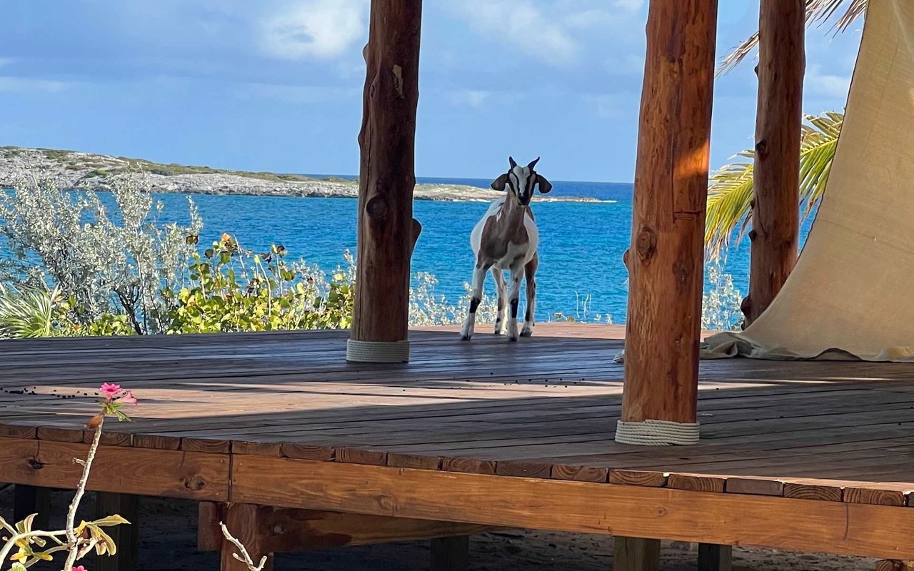 Ben's Cay Private Island