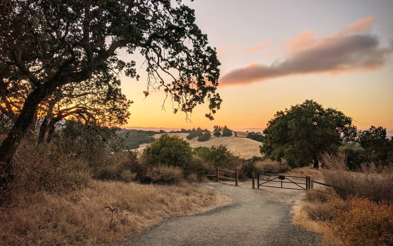 Los Altos Hills