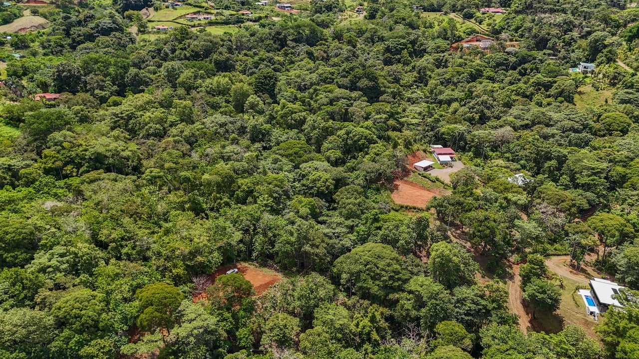 A jungle – and – creek border 1. 6 acre lot in a secure gated community, prepared and ready for your dream home!. 