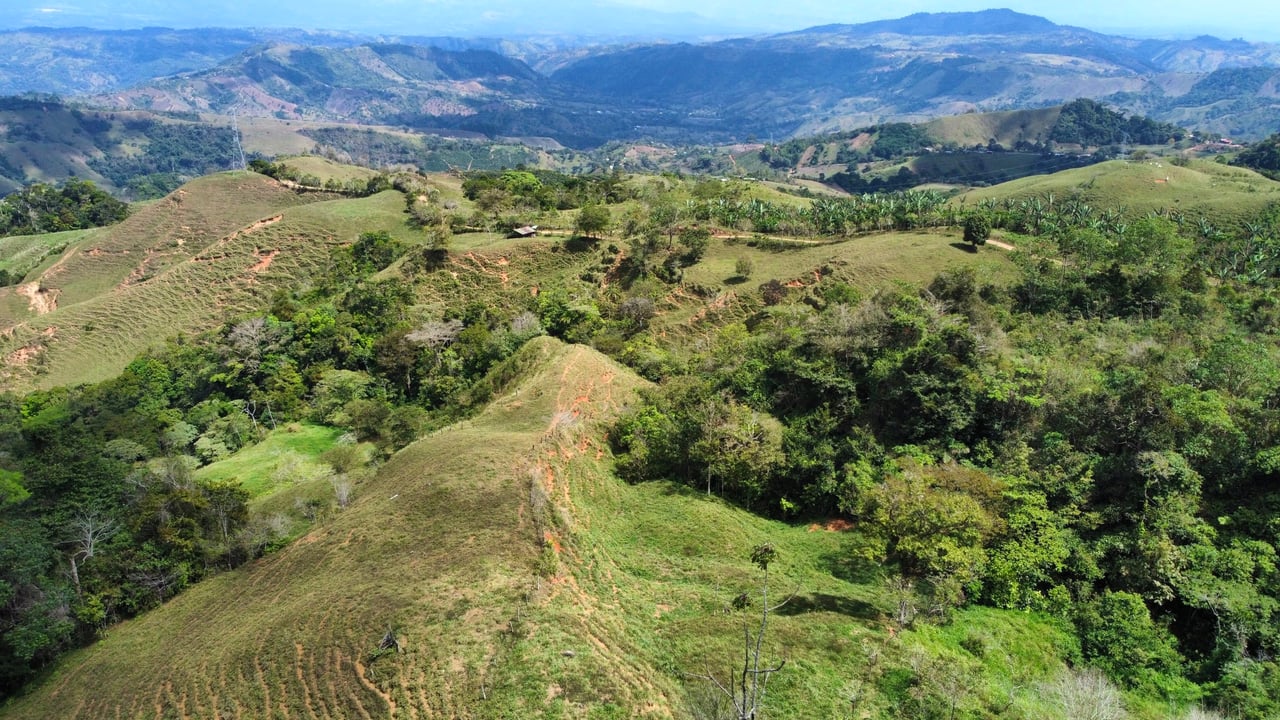 OVER 14 ACRES FARM IN ALTO DE GUADALUPE