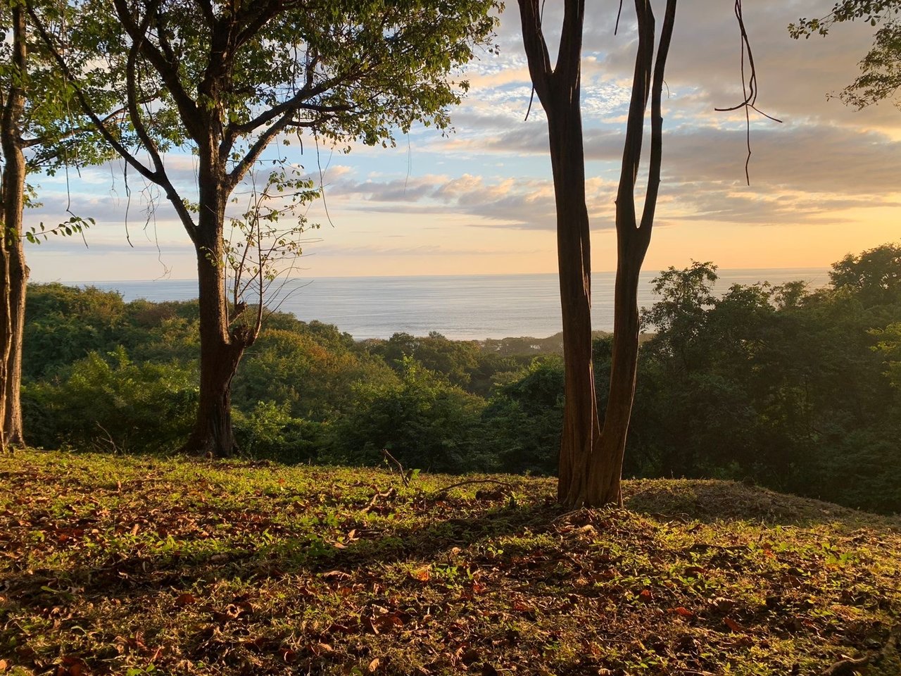Sustainable Ocean View Lot, Nosara, Guanacaste