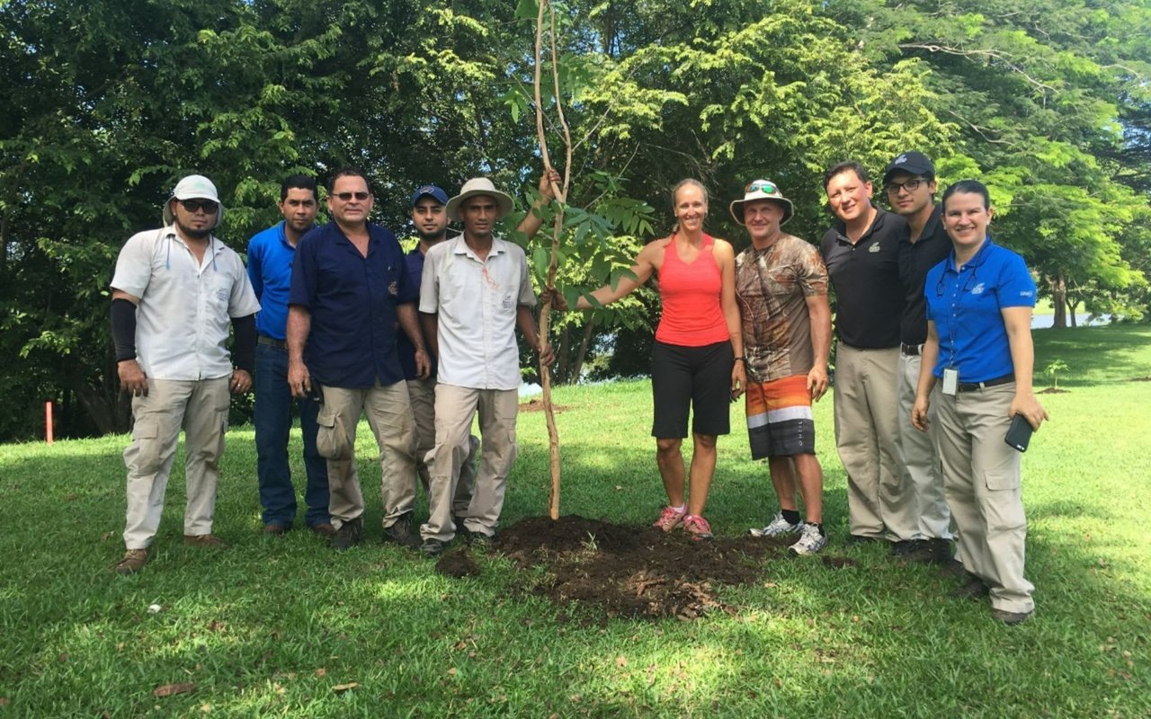Tree Planting