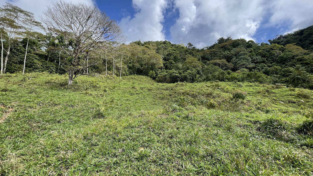 Whales Tail and Ocean View Farm, Over 39 acres