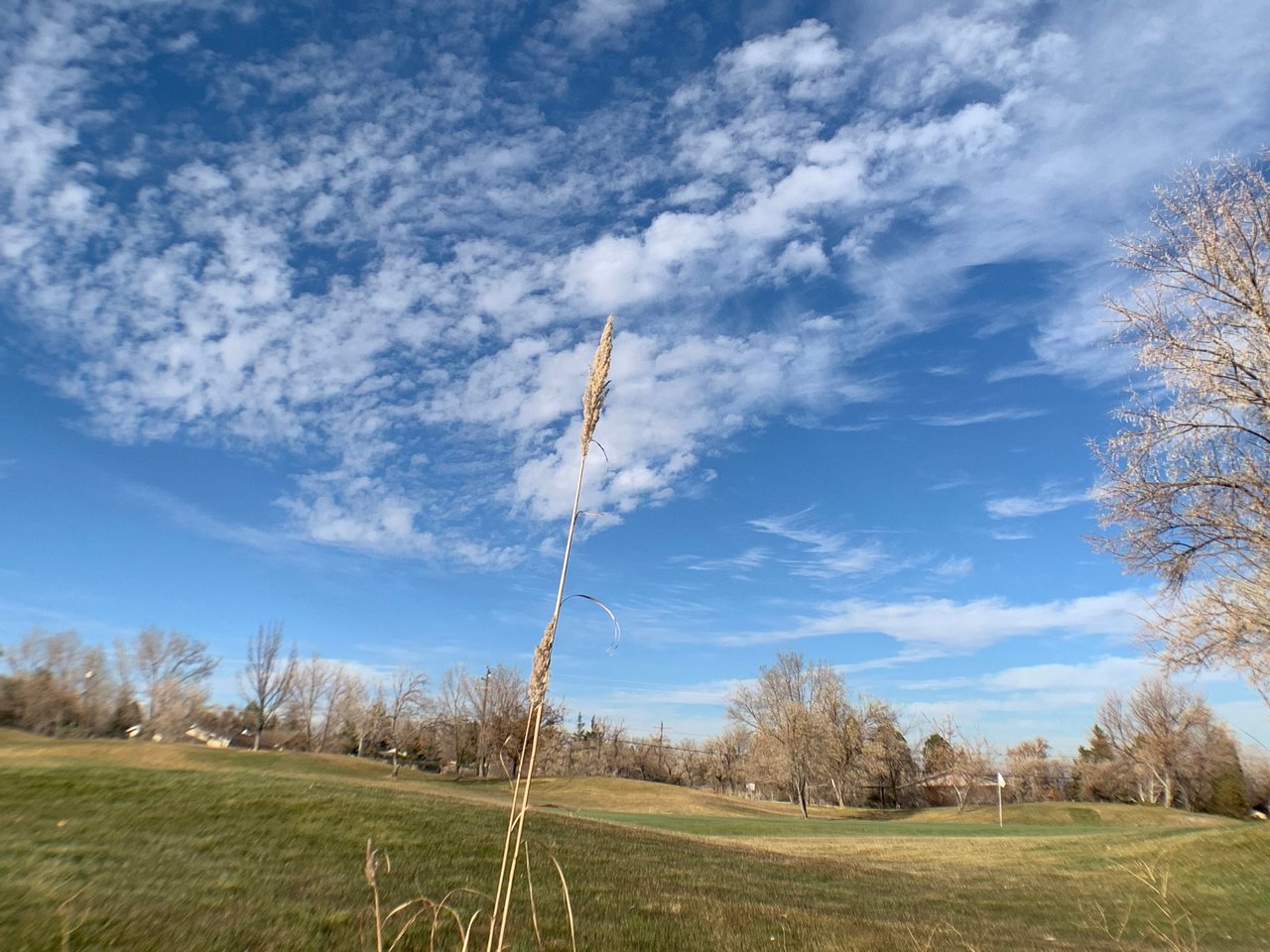 Fieldcreek Ranch