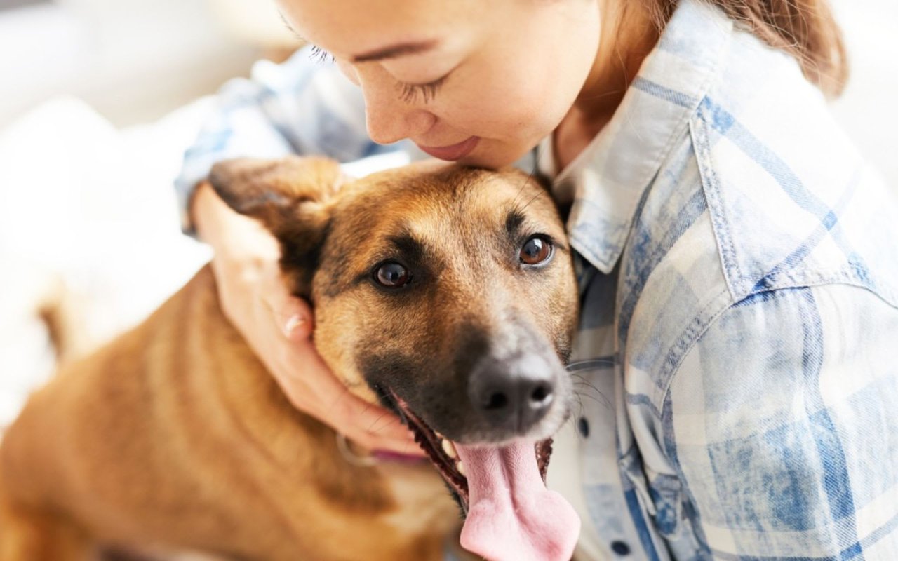 The 4 Best Features for a Pet Owner’s Home