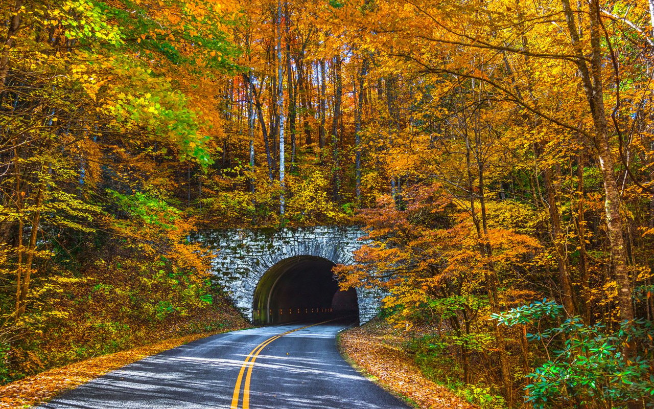 North Asheville