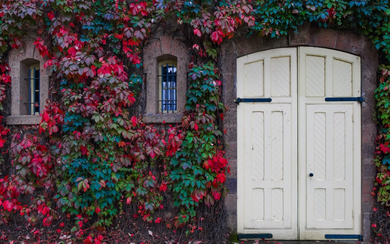 Hottest Architectural Styles in Napa Valley