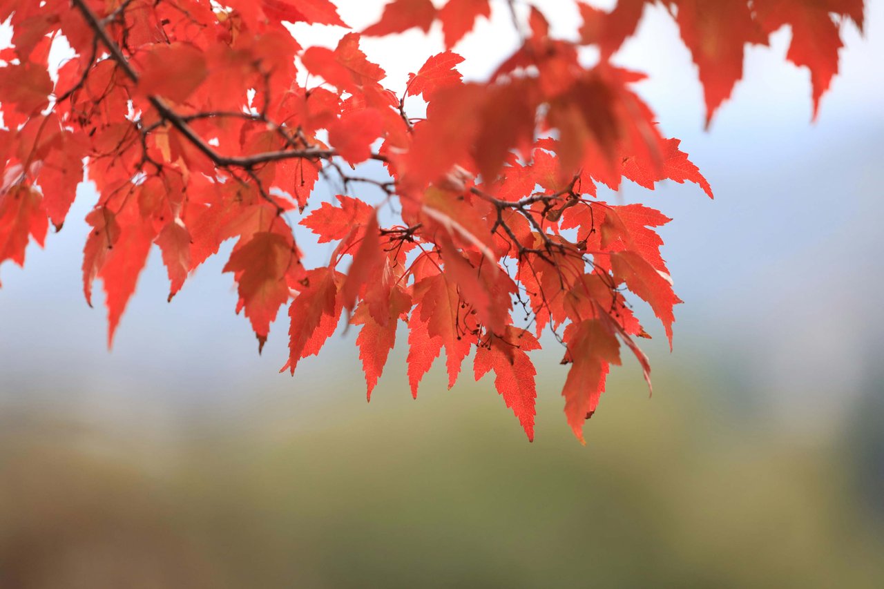 Fall Outdoor Maintenance To-Dos