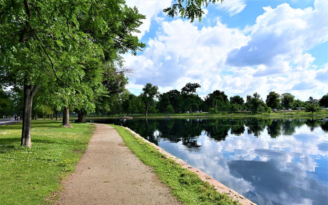 A sunny dirt path winds through a park, leading to a calm lake reflecting the sky