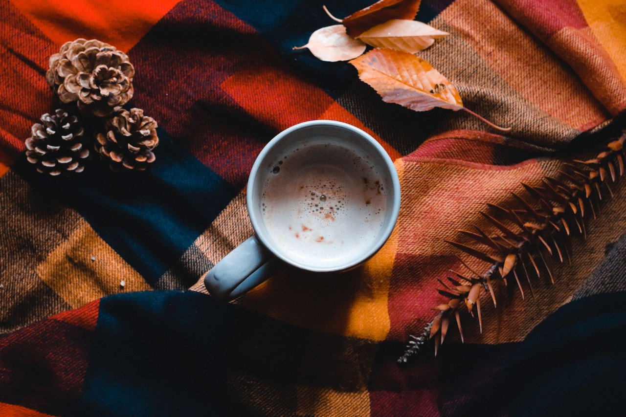 Embrace Fall - Check Out These Local Kaua'i Coffee Shops!
