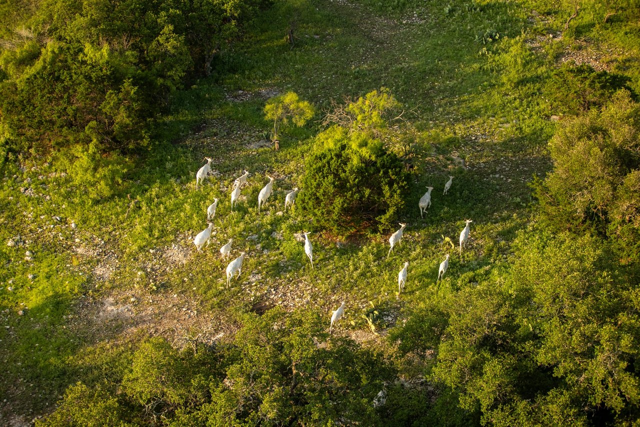 Golden Eagle Ranch