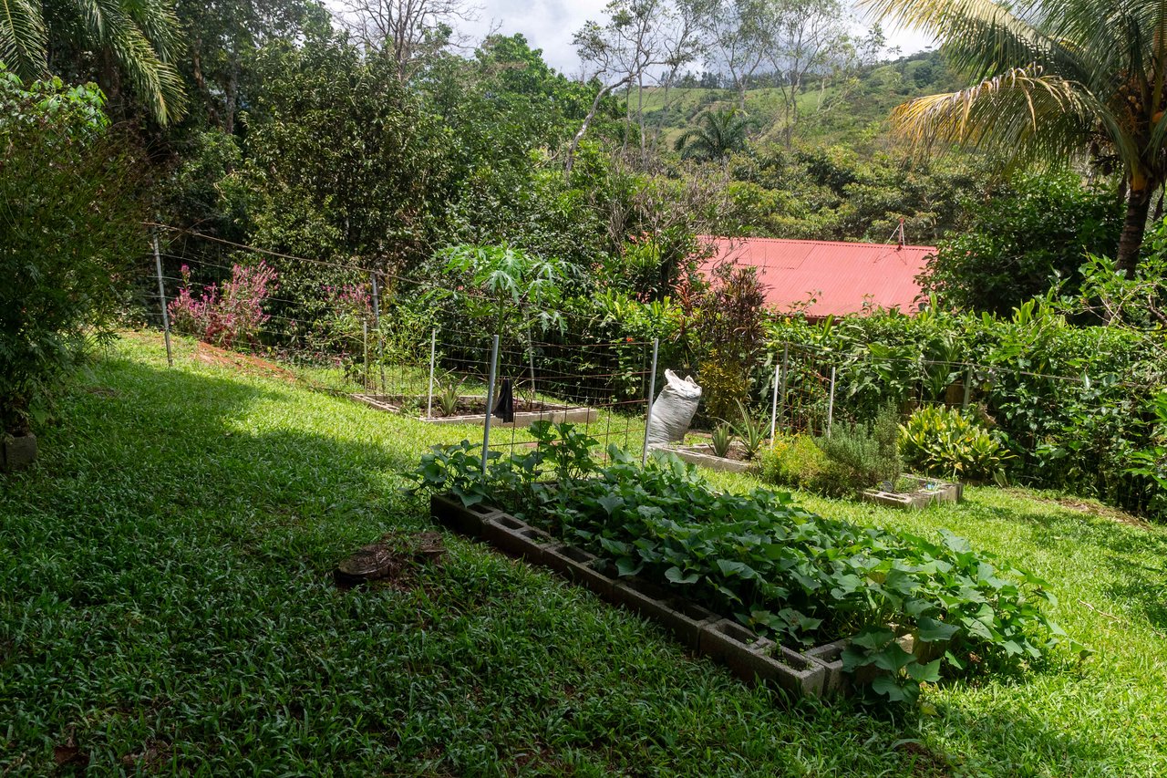 Charming 3-Bedroom Home in La Palma, Pérez Zeledón.