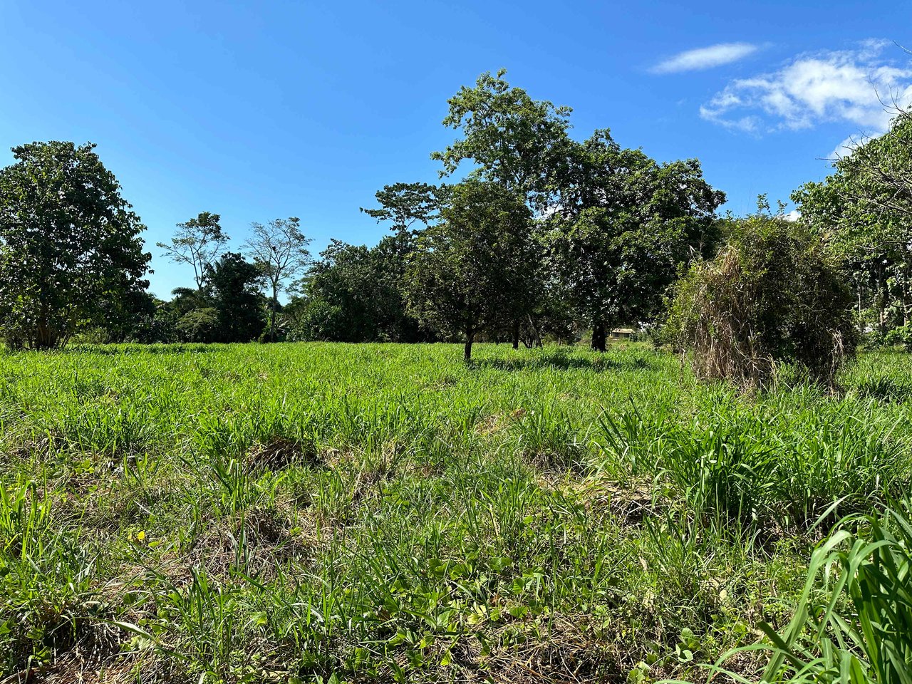 Over 3 Acres, Mountain View Lot in the Heart of Ojochal, Ready for Development!.