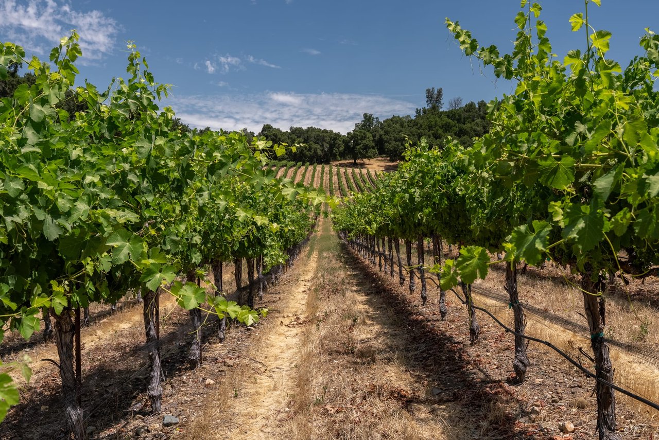 Paso Basin Land Use Planting Ordinance