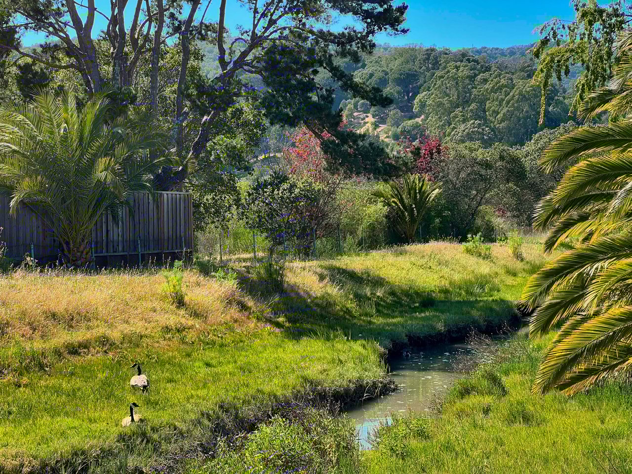 19 Knight Drive, San Rafael