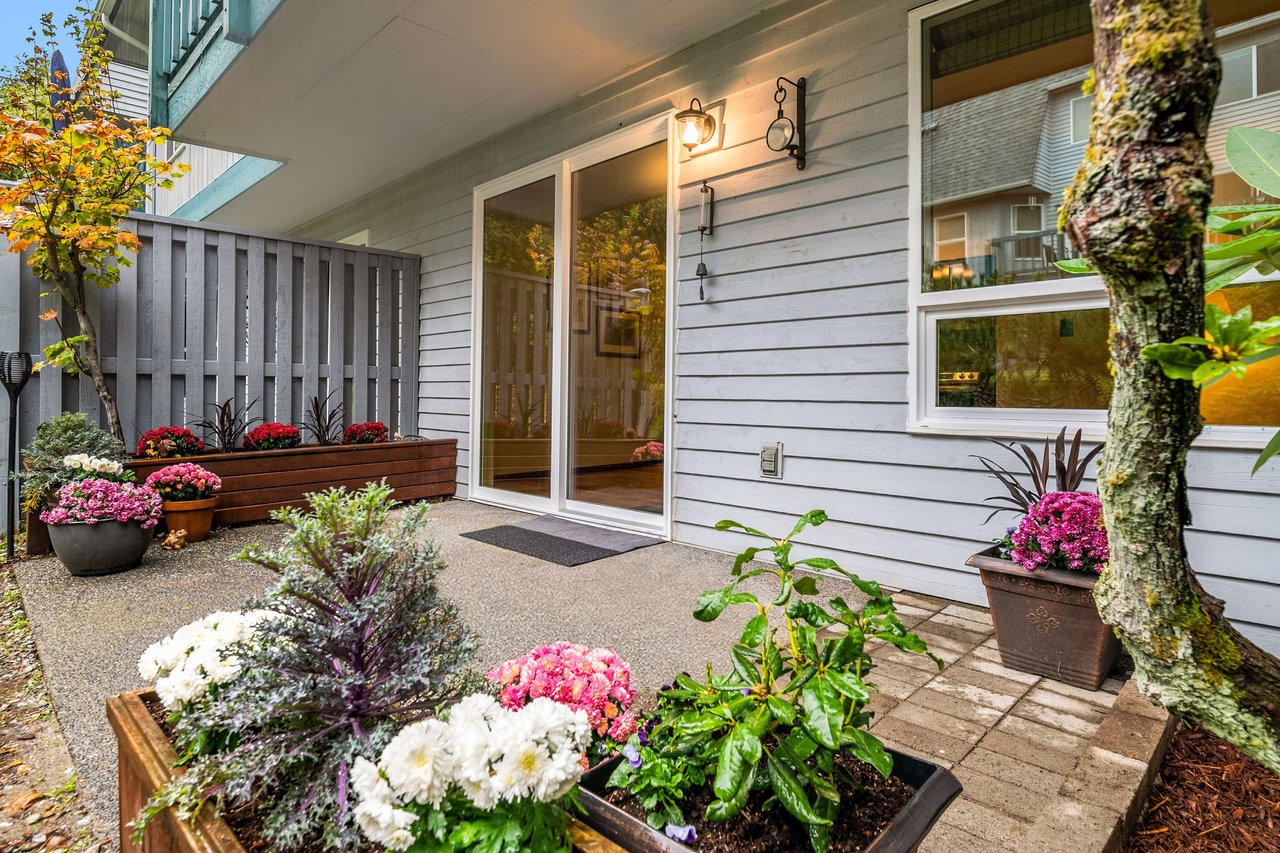 Zen Renovation