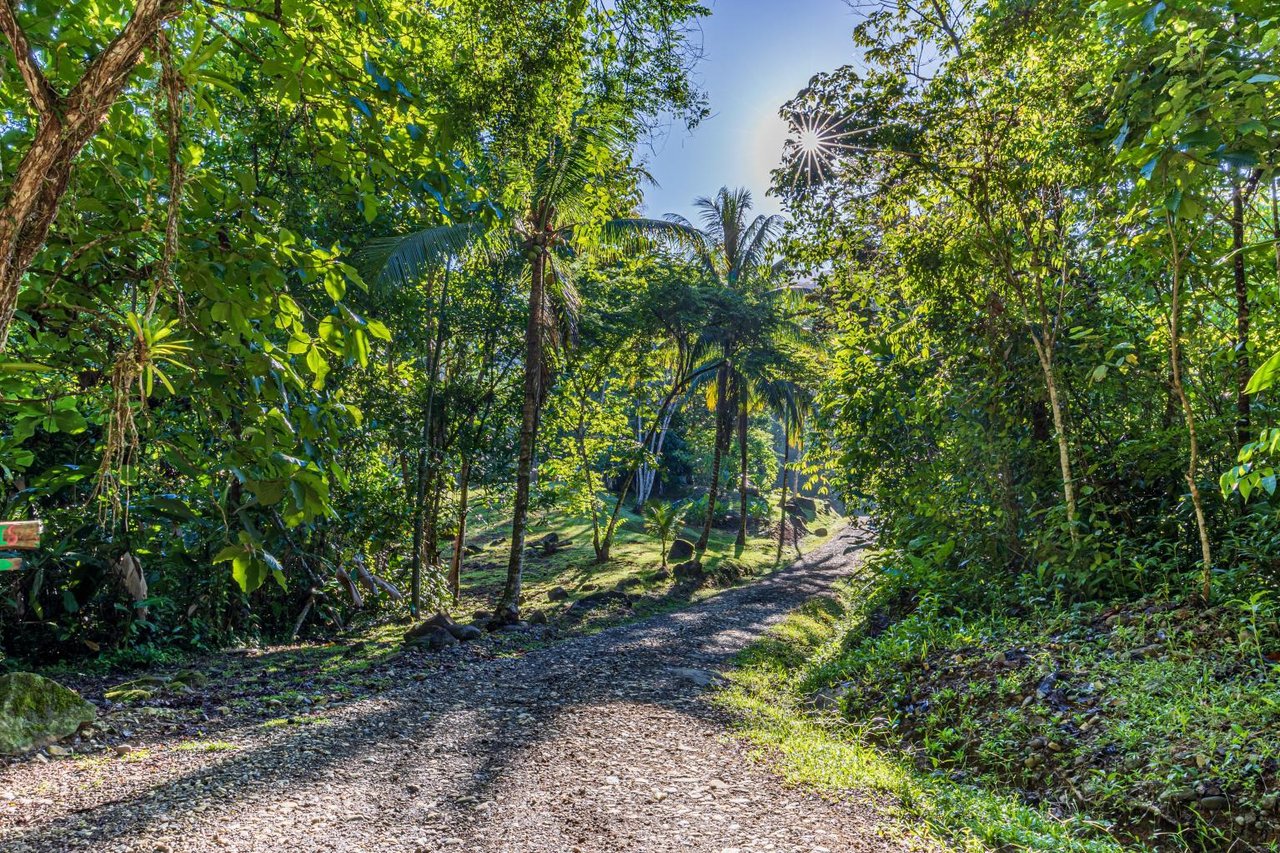 Uvita, Jungle Retreat Center on the Uvita River. Private and 17 Acres