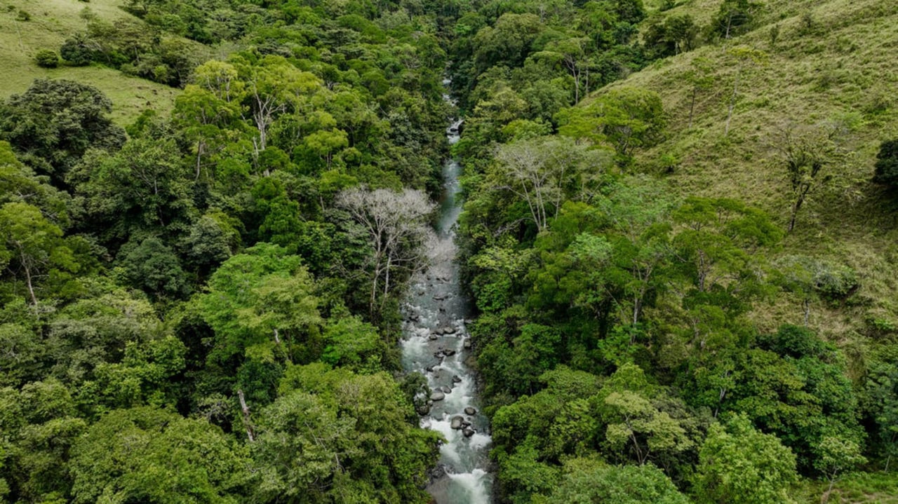 Waterfall Riverfront View Land, Uvita, Puntarenas