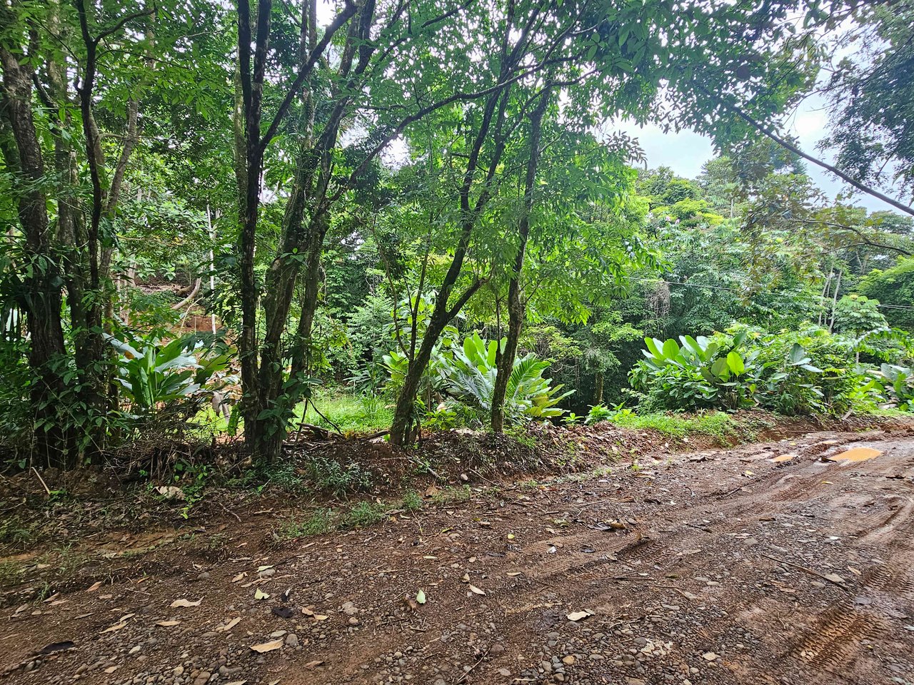 Discover Your Dream in Uvita's Prime Real Estate