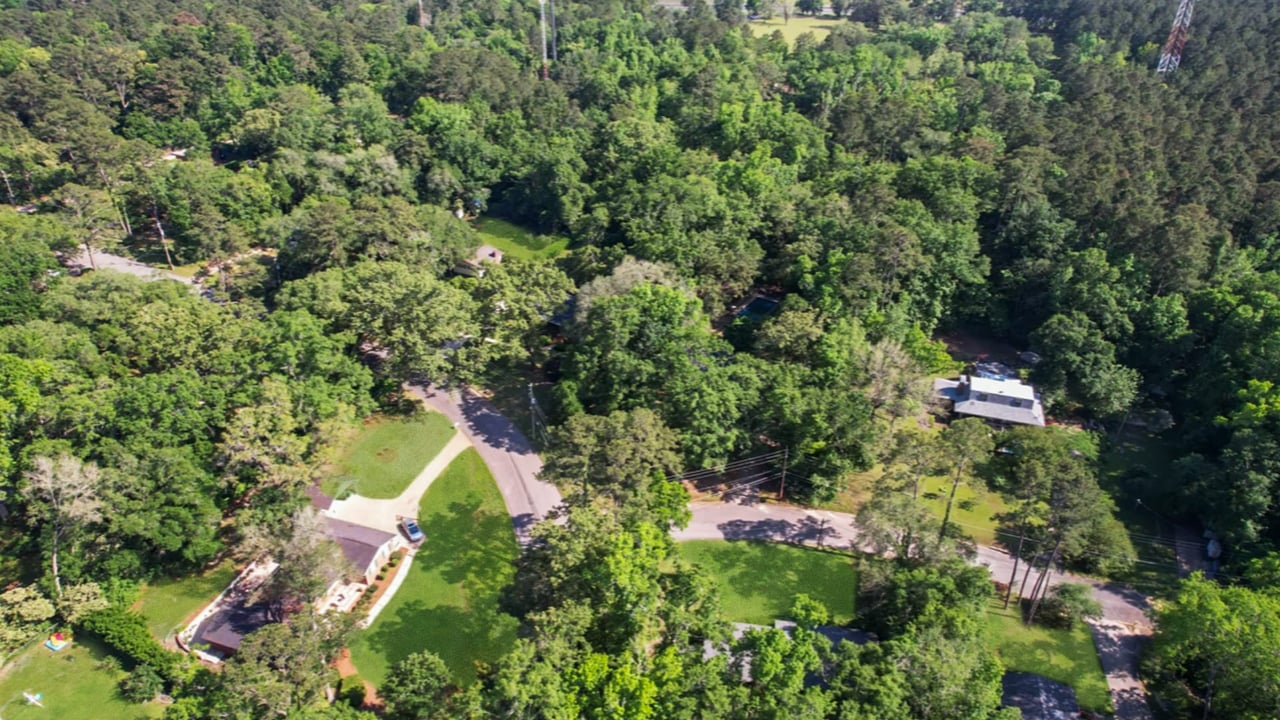 A closer view of a section of Linene Woods, showing individual houses nestled among trees.