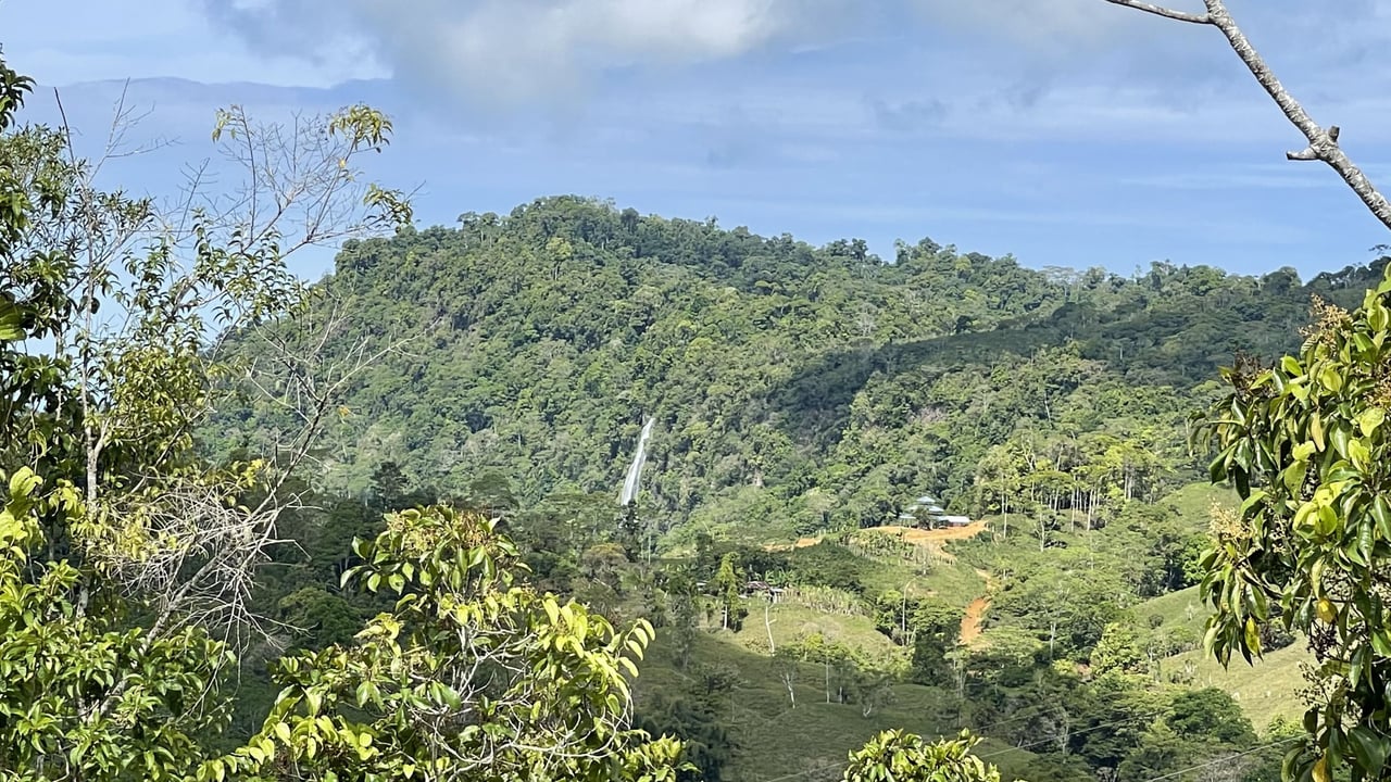 Whales Tail and Ocean View Farm, Over 39 acres