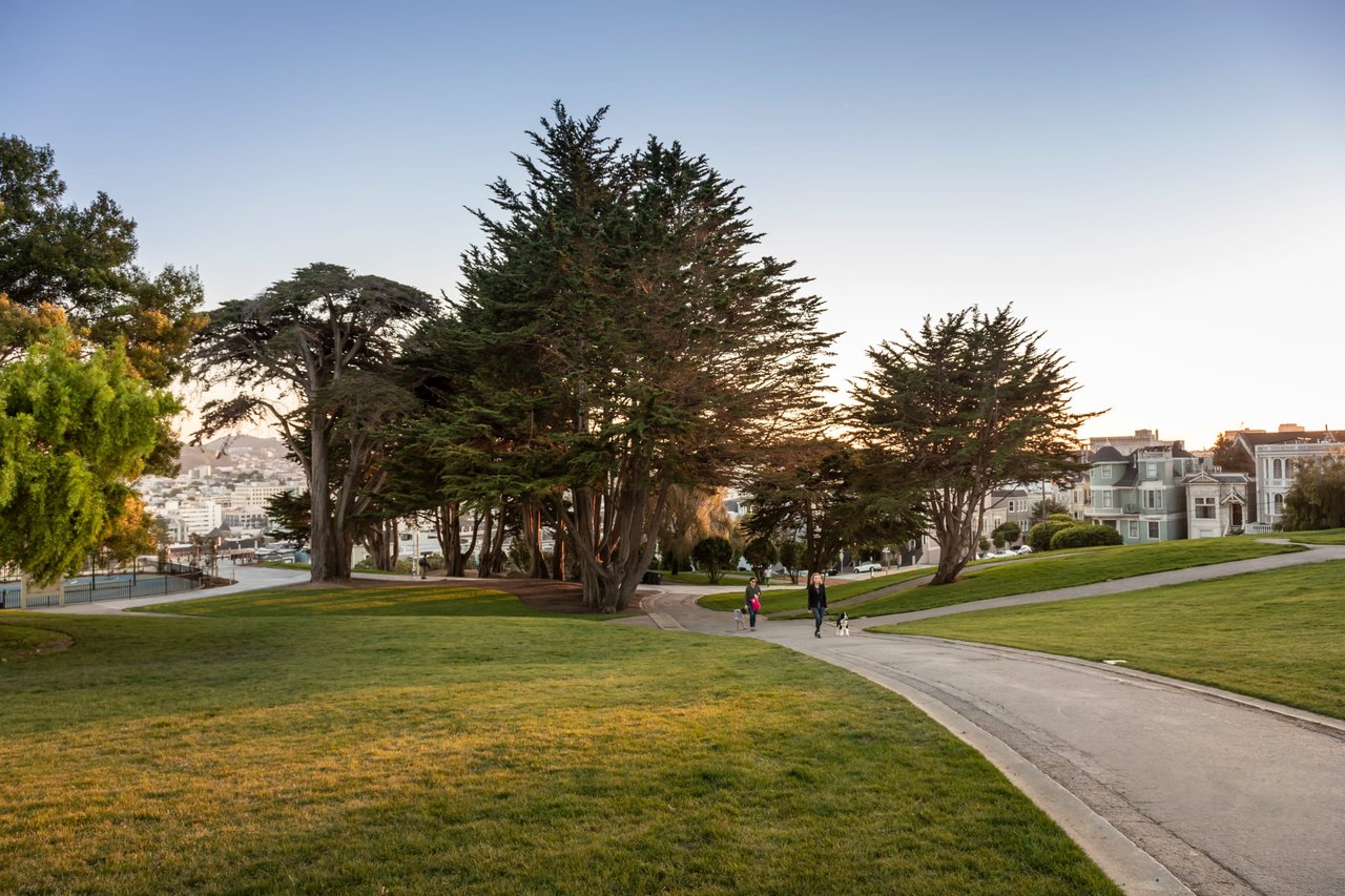Pacific Heights Design/Build Opportunity