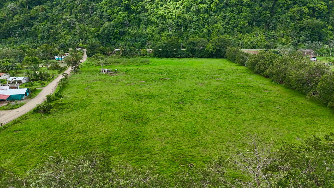 Fire Sale – Over 12 Acres of Land with Public Road Frontage Near Ojochal