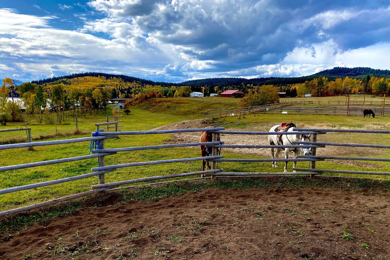 Waterfront Equestrian Property