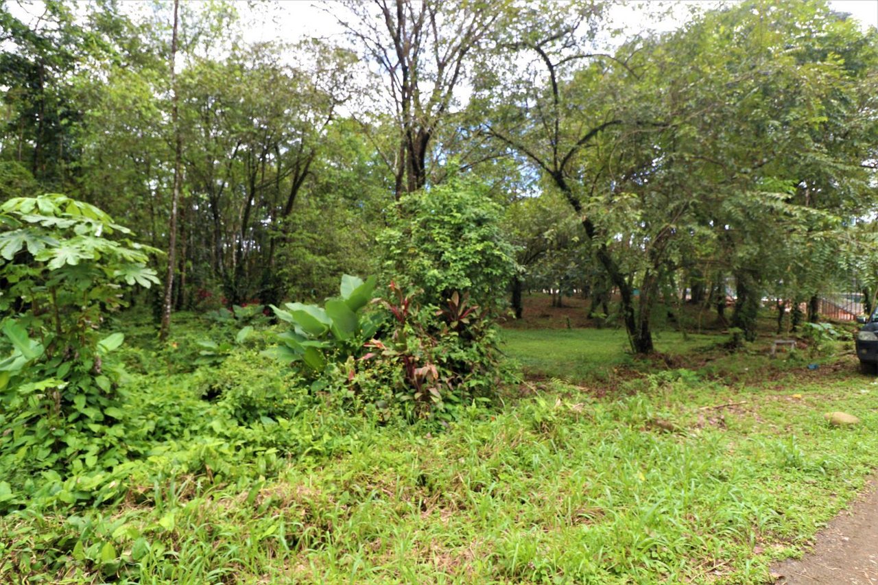 Uvita Prime Commercial Property - 5.9 acres