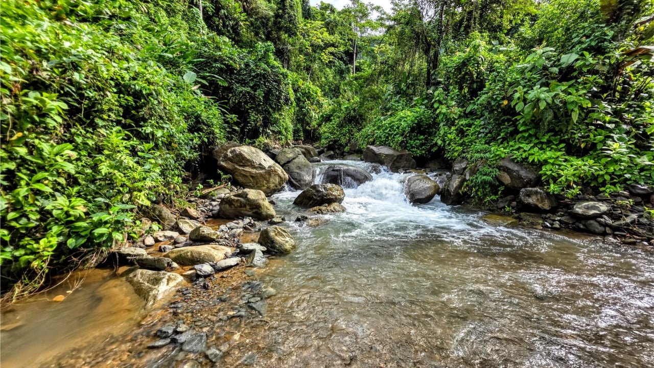 Rainforest Waterfall Acreage Estate, Dominical, Puntarenas