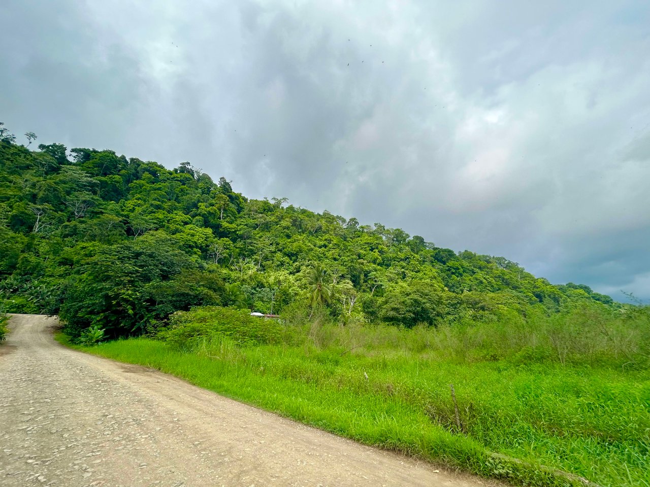 Fire Sale – Over 12 Acres of Land with Public Road Frontage Near Ojochal