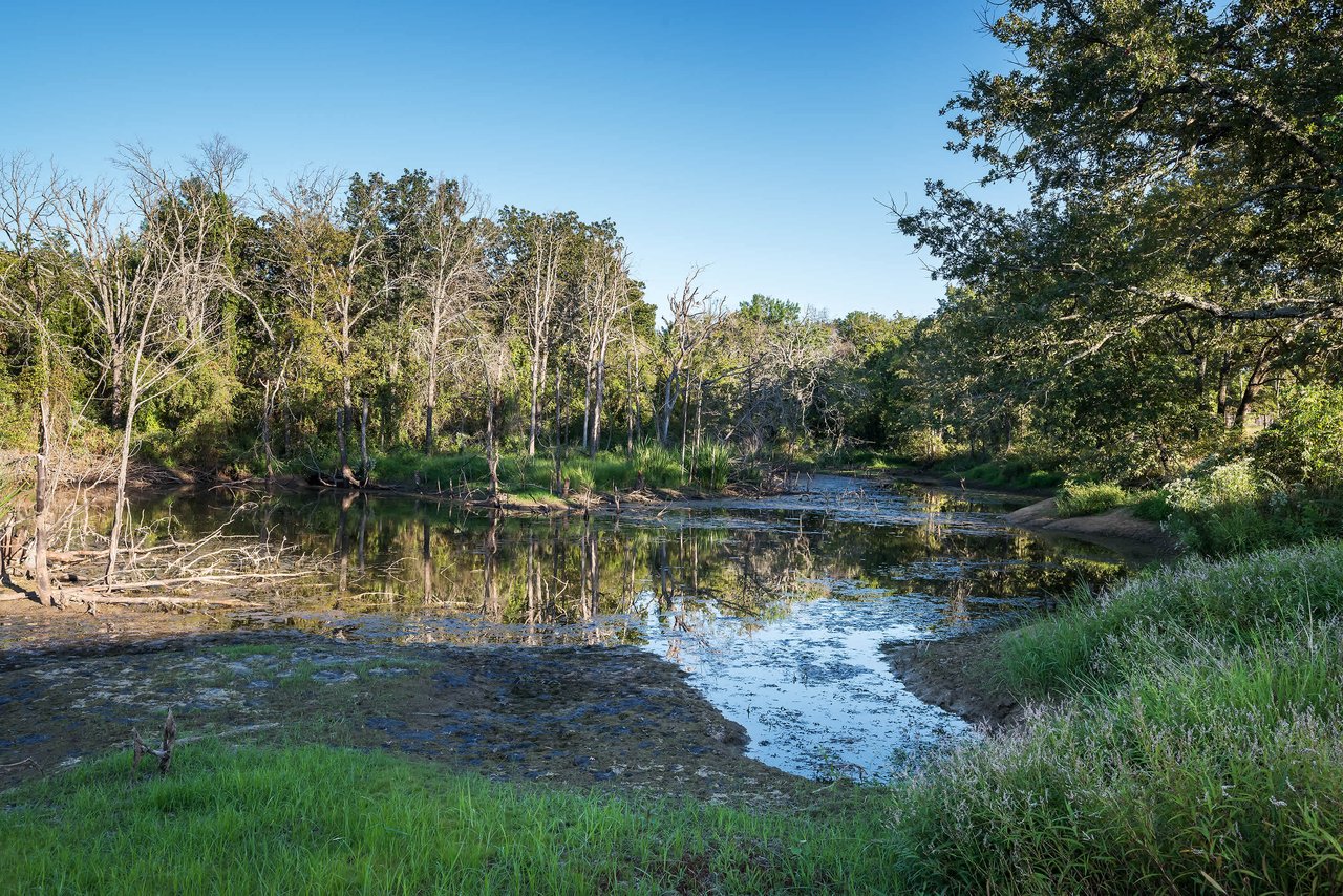 Buena Vista Ranch 