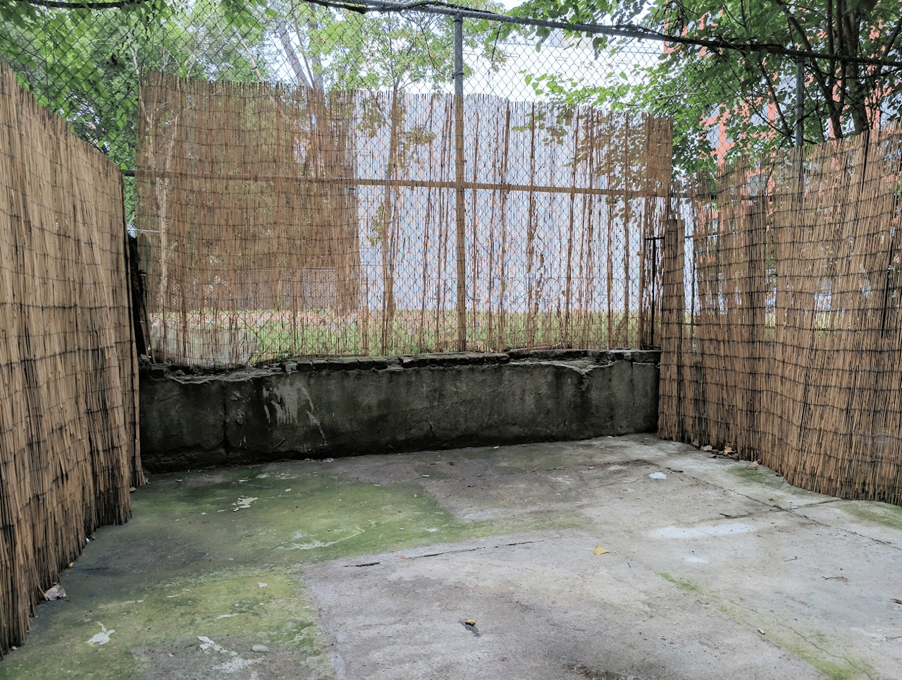 2359 Frederick Douglass Boulevard, Apt 1-B