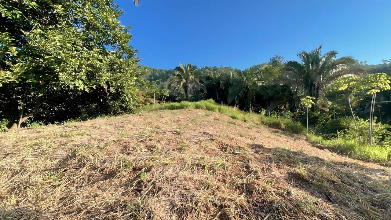  Exclusive Hermosa 1.2 Acre Lot with Panoramic Mountains and Ocean View. 