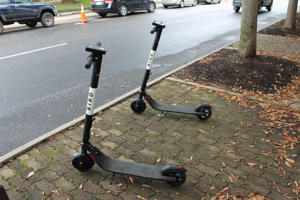 The Bird’s Eye View: New Bird Scooters in Town!
