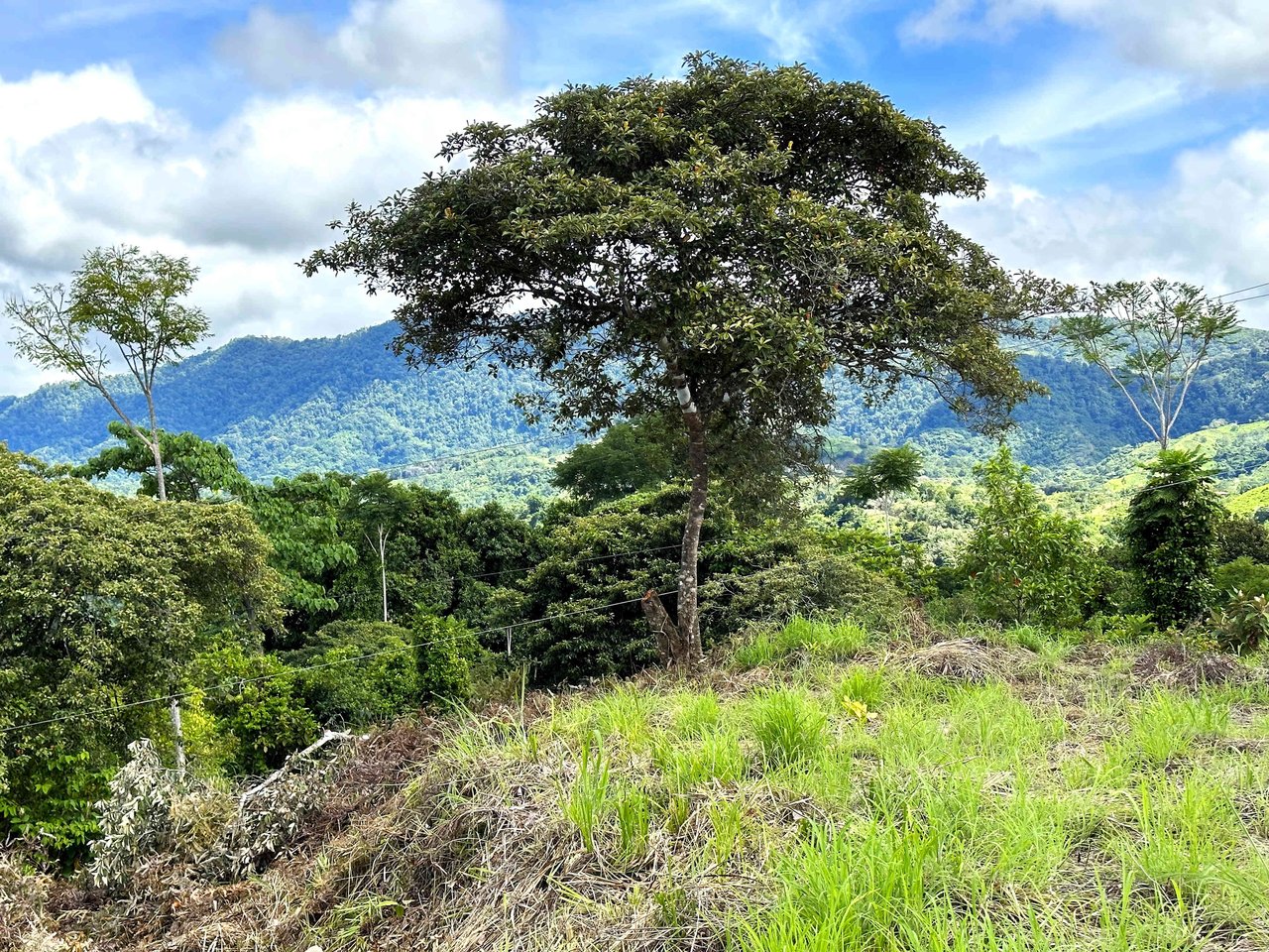 2 Acres Property with 360 Panoramic Views!