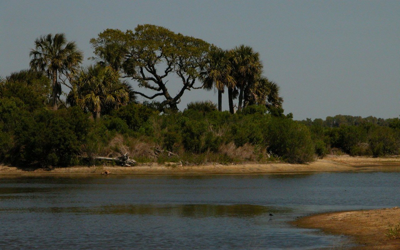 The Ace Basin