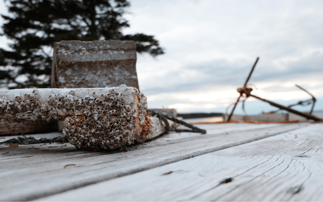 Shippan Point's Role in Connecticut's Maritime History