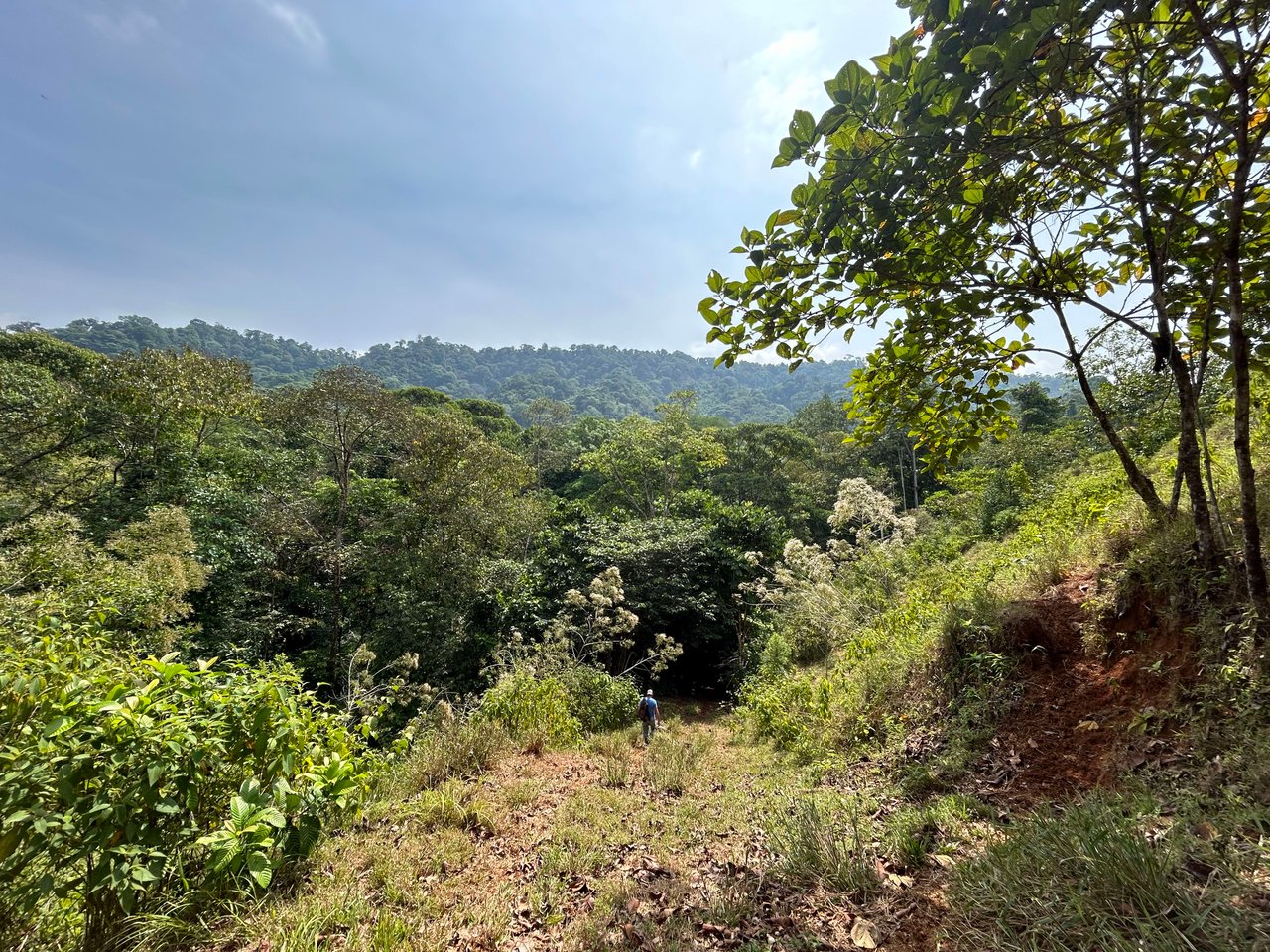 Over 76 Acres in Hatillo Overlooking Playa Linda