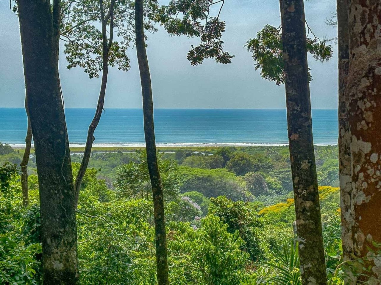 Oceanfront Highway Commercial Land, Ojochal, Puntarenas