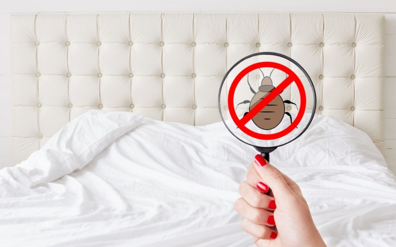 10 Tips for Dealing with Bed Bugs