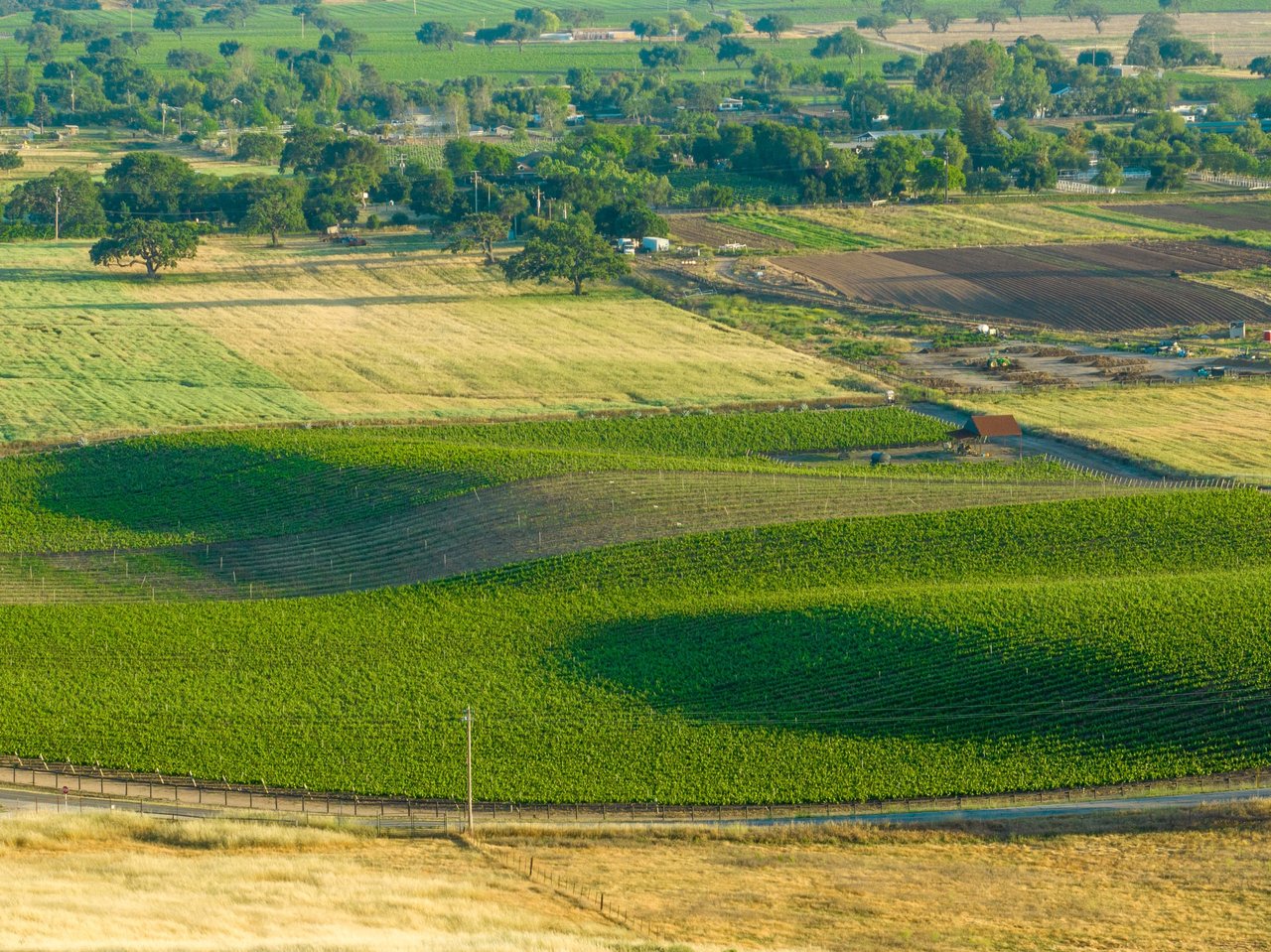 Build your Dream Vineyard Estate