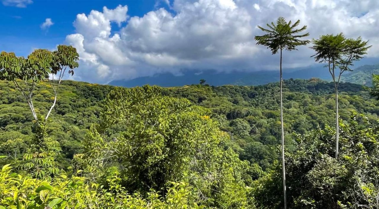 Ocean View Rainforest Estate, Ojochal, Puntarenas