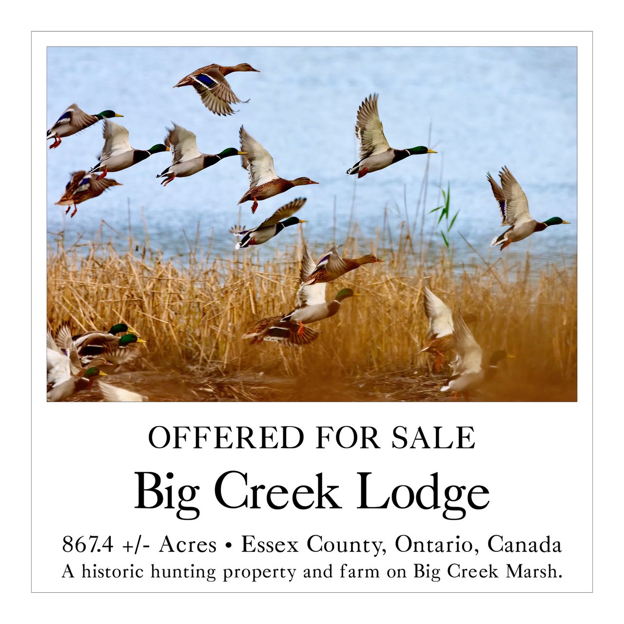 Big Creek Lodge