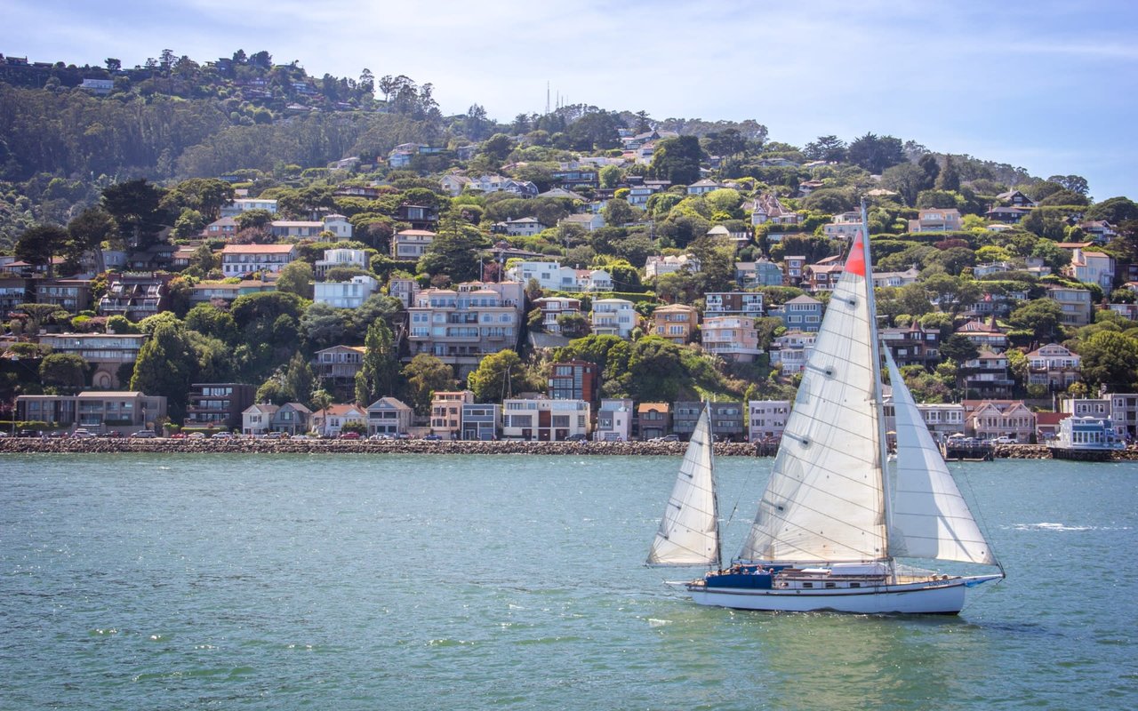 A Candid Chat: Mayor Kate Colin’s Clear Vision on San Rafael's Future