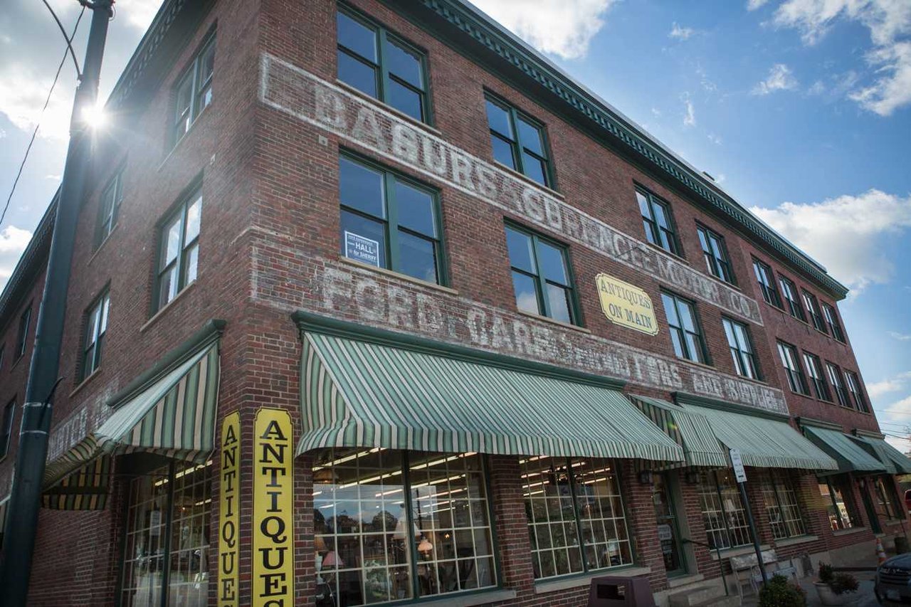 The Bee’s Knees – Part 2