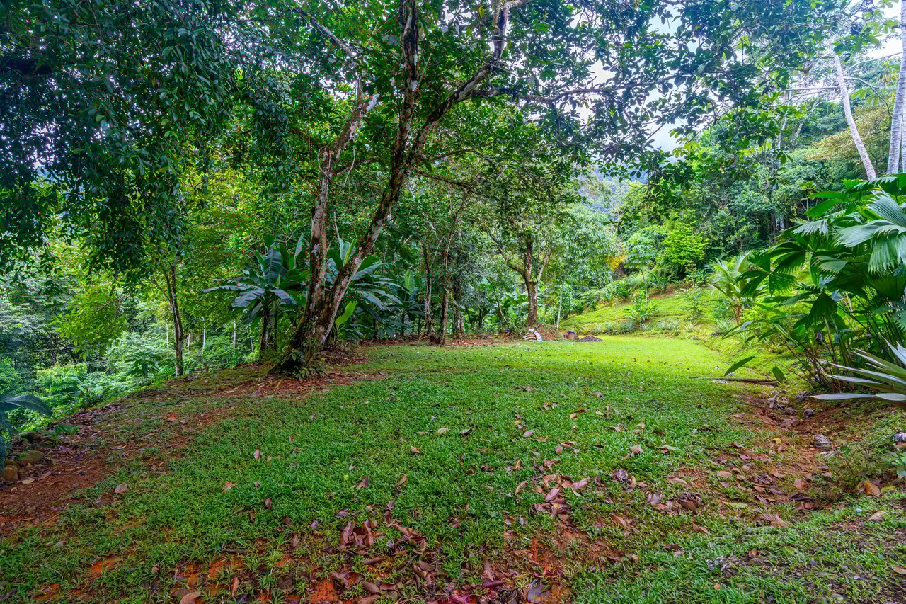 Cascada Sandalo Jaw Dropping Ocean Views!